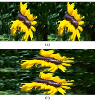 Fig. 10 Shutter Method