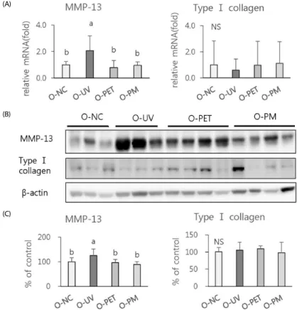 Fig. 5. Effects of oral treatment of Prunus persica Flos (PPF) extract on expression of MMP-13 and typeⅠ collagen in UV-irradiated mouse skin
