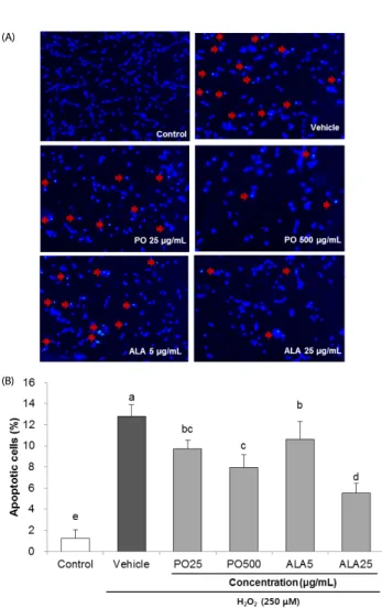 Fig. 3. Effects of PO and ALA on DNA condensation in SH-SY5Y cells treated  with hydrogen peroxide