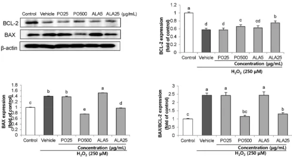 Fig. 7. Effect of PO and ALA on levels of BAX/BCL-2 ratio protein expression in SH-SY5Y cells treated with  hydrogen peroxide