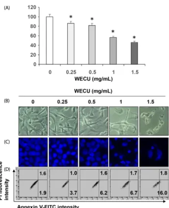 Fig. 1. Inhibition of cell viability and induction of apoptosis by WECU in  MDA-MB-231 cells