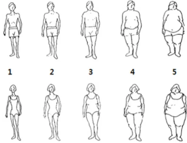 Fig. 1. Scale for assessing the body image