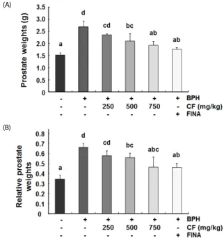 Fig. 2. Effects of CF administration on prostate weights in TP-induced BPH rats. 