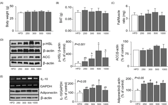 Fig. 3. Effects of AfGAE administration in a preventive model, Exp-1, on changes of metabolic parameters, lipolysis and inflammation-related proteins in mesenteric  adipose tissue of HFD fed C57BL/6J mice