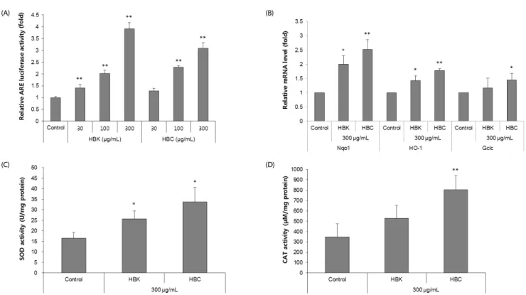 Fig. 3. Effect of honeysuckle berry extract in HepG2 cells.  (A)  Nrf2  transactivation