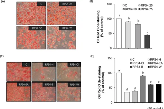 Fig. 2. Effect of red pepper seed water extract (RPS4) and its fractions on lipid accumulation in 3T3-L1 cells