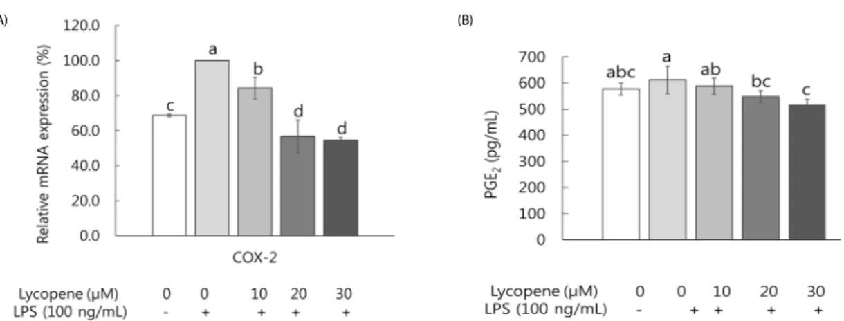 Fig. 3.  Effects  of  lycopene  on  the  mRNA  expression  of  COX-2  (A)  and  PGE 2  concentration (B) in LPS-stimulated SW480 cells