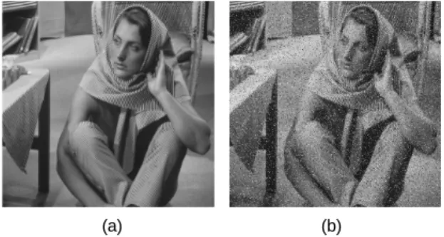 Fig. 1 Barbara image (a) Original image (b) Noise image 