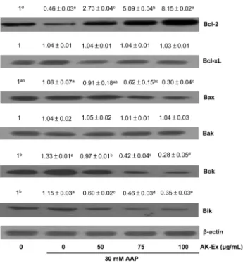 Fig. 7. Effect of AK-Ex on the protein levels of cleaved caspases and cleaved  PARP in HepG2 and HepaRG cells