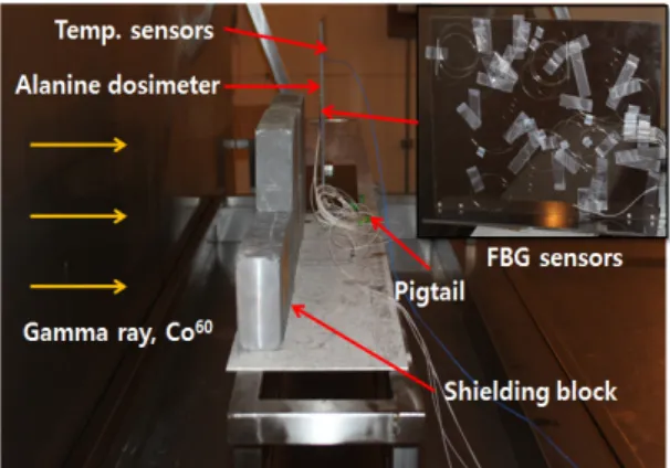 Fig. 3 Set-up of FBG sensors in the irradiation facility