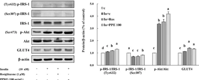 Fig. 3. Effects of pear pomace ethanol extract on protein expression in 3T3-L1 cells.  Means  with  the  same  letter  are  not  significantly  different  by  Duncan’s  multiple  range  test  ( P < 0.05)