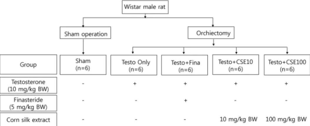 Fig. 1. Experimental design 