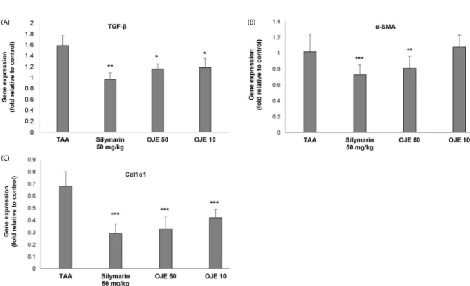 Fig. 7. Effect of OJE on fibrosis related gene expression in TAA-induced liver tissues