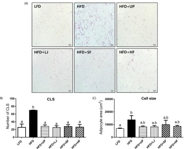 Fig. 3. Dead adipocytes (CLS) and adipocyte area of gonadal adipose tissue of mice fed LFD, HFD, HFD + UP, HFD + LJ, HFD + SF, or HFD + HF for 16 weeks
