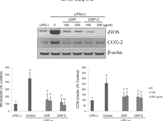 Fig. 5. Effects of CKP and CKP-C on protein expression of iNOS and COX-2 in LPS-stimulated RAW 264.7 cells