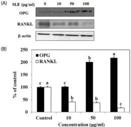 Fig. 6. Effects of SLE on the BMP signaling pathway in MC3T3-E1 cells.  Cells were  treated with SLE at 10, 50 and 100  μg/ml for 2 days