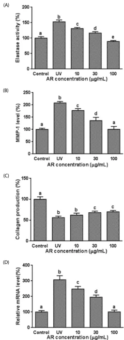Fig. 4. Effect of AR on UVB-induced degradation of elastin and collagen, and  collagen synthesis in human keratinocytes