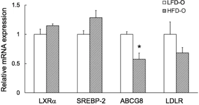 Fig. 8. Effects of maternal HFD consumption on hepatic mRNA levels of genes  involved in cholesterol metabolism of male offspring