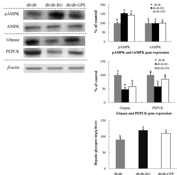 Fig. 4. Effect of G. procumbens extract (GPE) supplementation on G6Pase and PEPCK expression and hepatic glycogen in the liver of C57BL/KsJ-db/db  mice