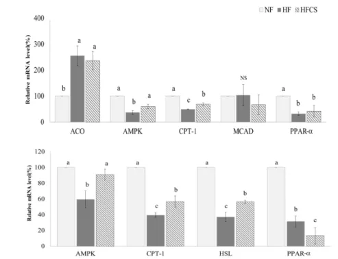 Fig. 5. Effect of corn silk extract on mRNA expression of transcription factors and enzymes related to fat oxidation in the liver and adipose tissue of mice fed high-fat  diet