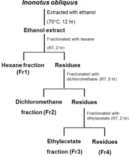 Fig. 1. Preparation of extract and various fractions of Inonotus obliquus