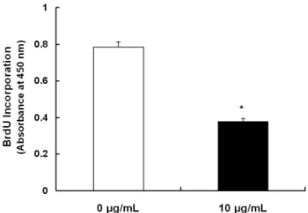 Fig. 5. Effect of EEIO on expression of various cell cycle-regulating proteins in  HT-29 cells