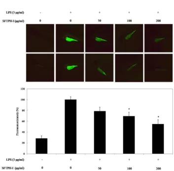 Fig. 5.  Inhibitory  effect  of  SFTPH-I  on  the  protein  level  of  p38,  ERK  and  JNK  in RAW 264.7 macrophages