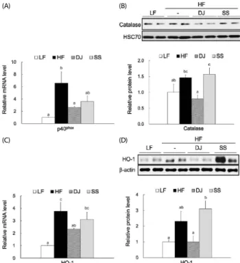 Fig. 3. Relative expression of oxidative stress markers in adipose tissue of mice  fed a high-fat diet (HF) and HF containing Doenjang (DJ) or steamed soybean  (SS)