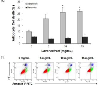 Fig. 4. The effect of laver extract on apoptosis in 3T3-L1 adipocytes.  Differentiated  3T3-L1 adipocytes were treated with various concentrations of laver extract for 48 h, i.e.,  during  days  7-9