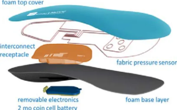Fig. 1 Smart insole composition sample