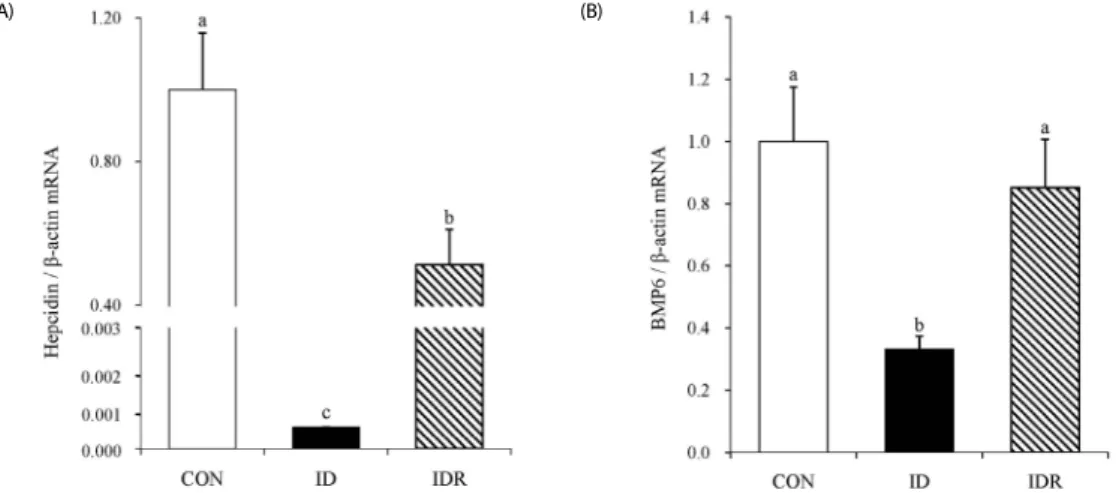 Table 1. Effects of developmental iron deficiency and repletion on blood iron index and tissue iron concentration in rats