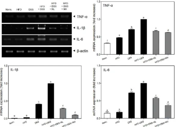 Fig. 5. Effect of NRM on the mRNA levels of TNF-α, IL-1β, and IL-6 of HFD (45%) and/or DSS-treated mice