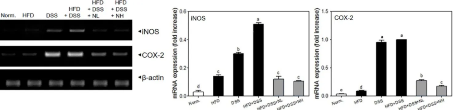 Fig. 6. Effect of NRM on the mRNA levels of iNOS and COX-2 in the colon tissues of HFD (45%) and/or DSS-treated mice