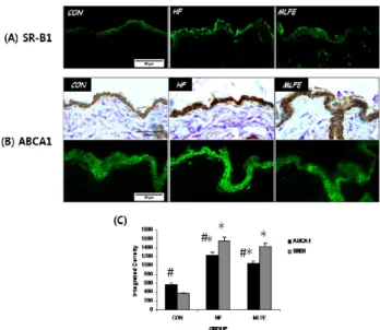 Fig. 4. Effect of MLFE supplementation on skin SR-B1 (A) and ABCA1 (B)  expressions in high fat diet-induced obese mice