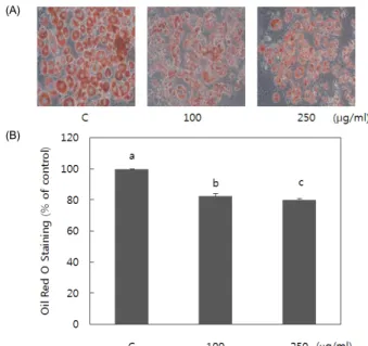 Fig. 1. Effects of pear pomace water extract on the proliferation of 3T3-L1  preadipocytes as measured by MTT assay