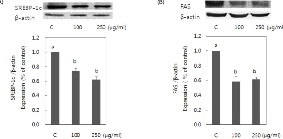 Fig. 5. Effect of pear pomace water extract on SREBP-1c(A) and FAS(B) expression in 3T3-L1 adipocytes