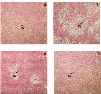Table 4. Serum biochemical indices of liver function for the experimental rats