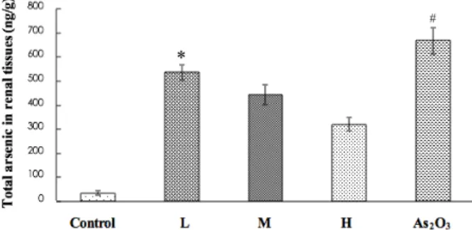 Fig. 5. Effect of AST and As 2 O 3  on the total As accumulation in renal tissues. 