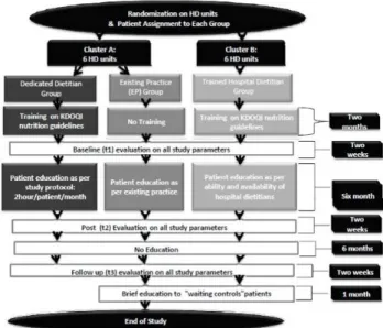 Fig. 1. Flow chart of study design