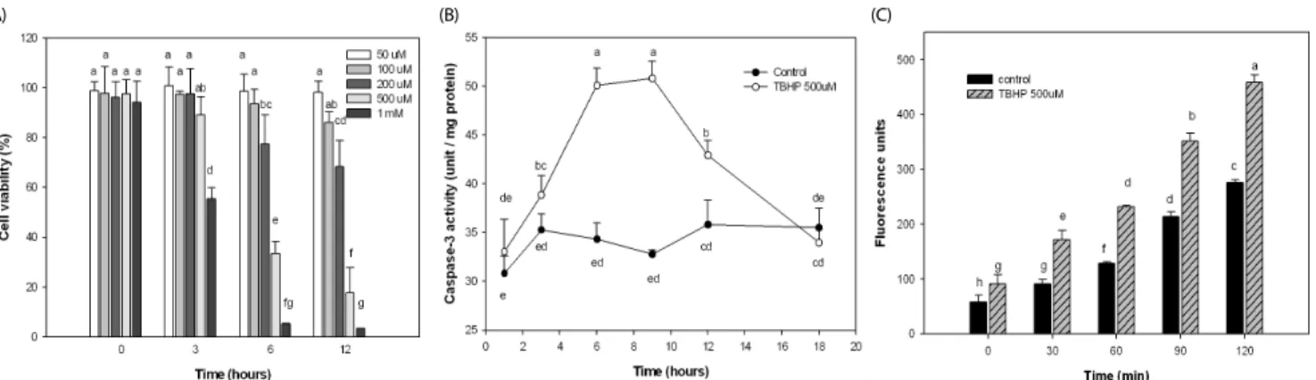 Fig. 1. Effect of TBHP on cell viability, caspase-3 activity, and ROS generation in HepG2 cells
