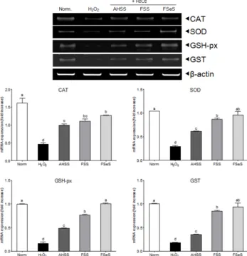 Fig. 6. Effects of the sauce extracts (100 μg/mL) on mRNA expression of CAT,  SOD, GSH-px, and GST in LLC-PK1 cells treated with H 2 O 2 (500  μM)