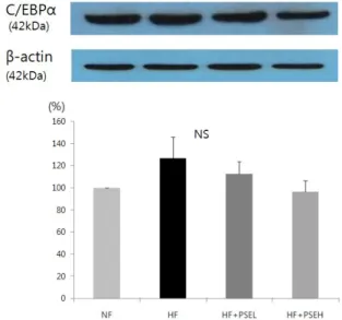 Fig. 2. Effect of peanut sprout extracts on C/EBPα expression in adipose tissue  of rats