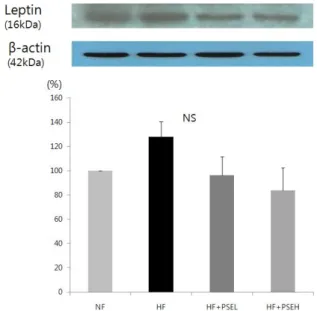 Fig. 4.  Effect  of  peanut  sprout  extracts  on  leptin  protein  expression  in  adipose  tissue of rats