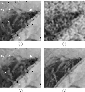 Fig. 3 Zoom image of Lena image (a) CWMF (b) A-TMF  (c) AWMF (d) PFA