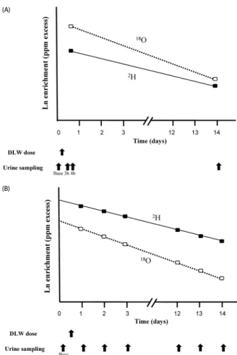Fig. 2. The time points of urine sampling and log-linear plot of isotope  elimination in a two-point (A) and multiple-point (B) doubly labeled water (DLW)  protocol