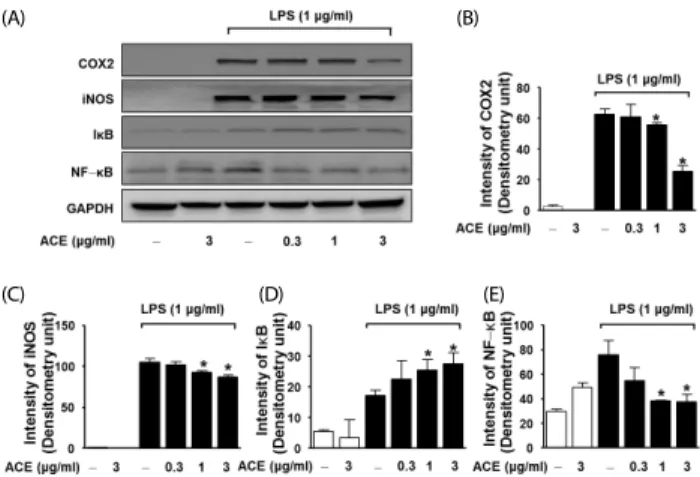 Fig. 3. Effect of Areca catechu leaf ethanol extract (ACE) on carrageenan  (CR)-induced paw edema in rats