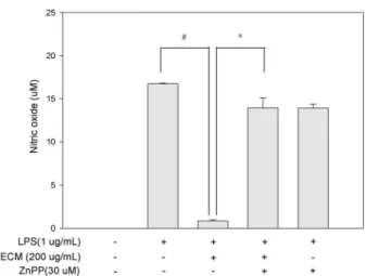 Fig. 6. HO-1 mediates the suppression of LPS-induced NO production in RAW  264.7 cells