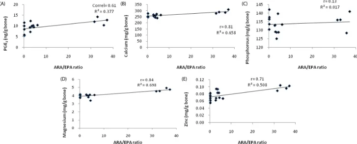 Fig. 2. Correlations between bone marrow ARA/EPA ratio and (A) PGE 2  level, (B) Ca, (C) P, (D) Mg, and (E) Zn contents in femur of male and female rabbits fed  different dietary oil sources and varying ω-6/ω-3 ratio.