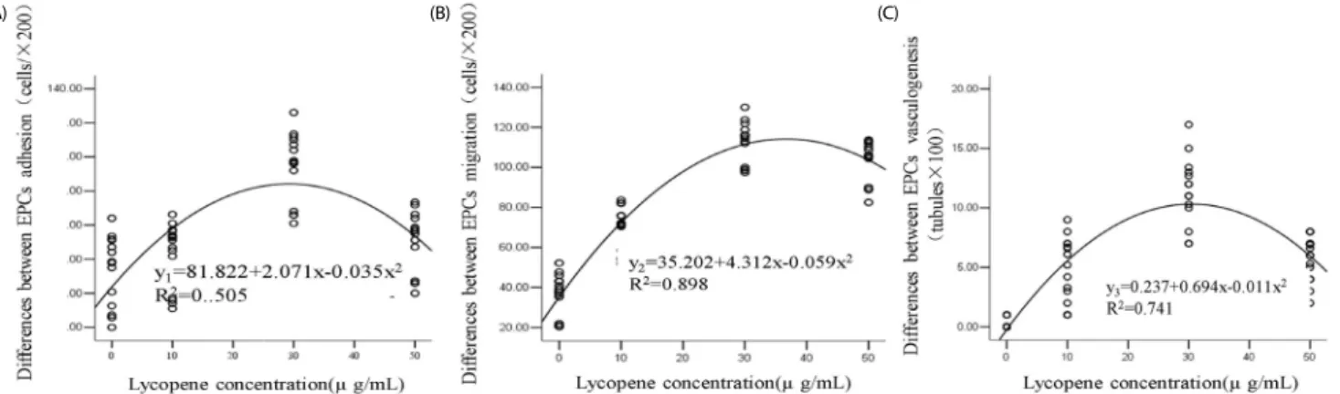Fig. 4. Curve fitting figures of effects of lycopene on EPCs in high concentration of glucose 