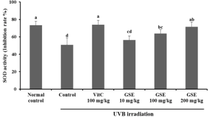 Fig. 2. Representative images of histological observation by H&amp;E staining on skin  of UVB-induced hairless mice after a 10-week experiment to evaluate the  inhibitory effect of green tea seed extract (GSE)